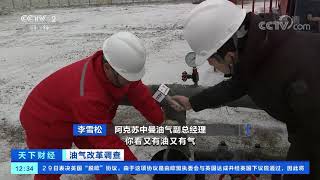 [天下财经]油气改革调查 民企公开竞得探矿权 首获重大发现| CCTV财经