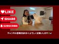 週末vlog 日帰り　関西雪あそび 美味しいランチ 滋賀マキノ高原 メタセコイア並木