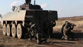 Polish Army In Action During Intense Combat Firefight Assault Training Live Fire NATO Exercise