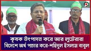 কৃষক উৎপাদন করে আর লুটেরারা বিদেশে অর্থ পাচার করে শহিদুল ইসলাম বাবুল-Check Post