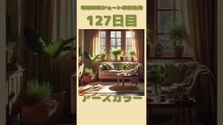 127日目 | #毎日投稿ショート動画生活