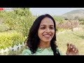 sula vineyards nashik full details one day trip plan explore with shweta sula vineyards