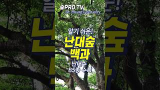 난대수종 결정판 '난대숲 백과' / 숲PRO-TV