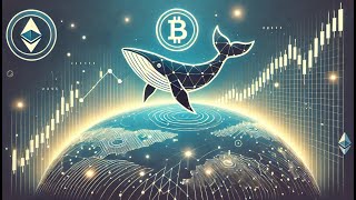 Une Whale Crypto avec 35M$ de Gains - Investit dans un Meme Peu Connu !