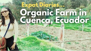 Living in Cuenca, Ecuador:  Finding an organic farm, Korean cuisine, elections and more