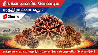 8 முகம் ருத்திராட்சை | எத்தனை முகம் ருத்திராட்சை நீங்கள் அணிய வேண்டும் ?