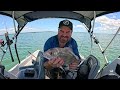 new fishing spot giant turtle boat exploring ep 84