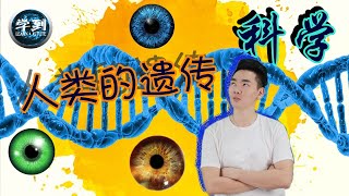 【科学 | 2年级】人类的遗传 |【学到】|  LOUIS