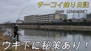 【鯉釣り】これが正解！鯉の警戒心はこうして解く。