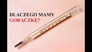 Dlaczego mamy GORĄCZKĘ?