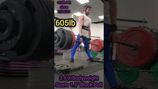 605lb Sumo 1.5\