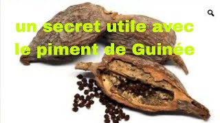 un secret utile avec le piment de Guinée.