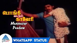 Mannavar Paadum Whatsapp Status | Pongi Varum Kaveri Tamil Movie Songs | Ramarajan | Gauthami