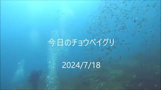 冠島 DIVE LOG 2024/7/18