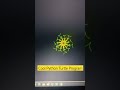 Python Turtle Graphics | Cool Shape Drawing | Python Turtle Video | Learnonpy | #python #coding