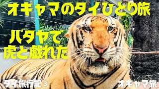 【タイ】パタヤ旅行の記念に🌟タイガーパーク🌟非日常感の興奮体験