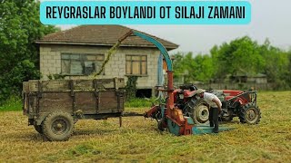 TEK SIRA SILAJ MAKİNASI İLE OT SILAJI YAPMAK / REYGRAS OTLARINI PARÇALIYORUZ ...