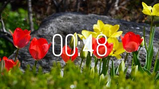 48 Second Timer with Music | Spring Timer🌹