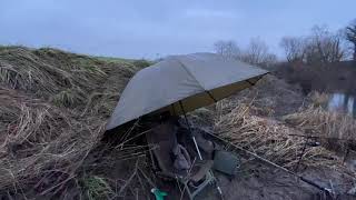 Korum 50” graphite brolly review