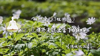 雜阿含287經(1版)12-10.禪修是認出當下的知見[德藏比丘]