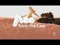 Free from the Law | Neil Bester