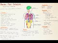 Amniotic Fluid Embolism - Causes, Symptoms, Diagnosis, Phases, Mechanism, Treatment