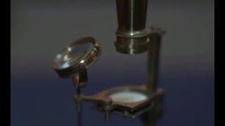 Darwin family microscope goes to auction