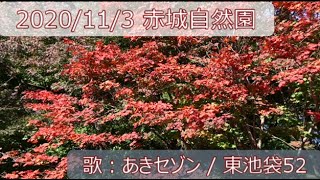 20201103 赤城自然園 あきセゾン東池袋52