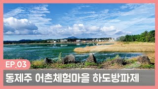 동제주 낚시여행 무늬오징어 낚시포인트 하도방파제와 산책하기 좋은 토끼섬 용목개와당 가비오타카페