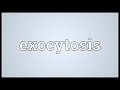 exocytosis meaning