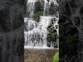 Sikkim waterfalls