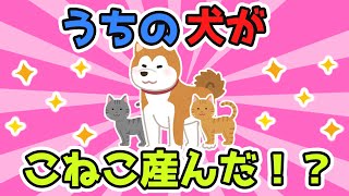 うちの犬にご飯を持っていったら、こねこが引っ付いている…一瞬「う、産んだ！？」と混乱してしまったｗｗｗ【2ch面白スレ/2chほのぼのスレ】【ゆっくり解説】