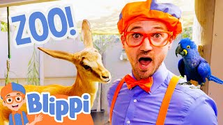 Blippi's Summer Adventures at the Zoo! | Blippi Summer Special 2023