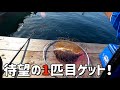 海上釣り堀の釣堀紀州さんに行ってきました！ 果たして魚は釣れるのか！？