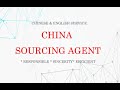 I will be your product sourcing agent in china