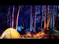 bigfoot tree knocks breathing sounds orb relax u0026 listen to the campfire