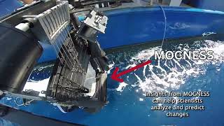 MOCNESS — SkIO's Newest Plankton Sampling Tool