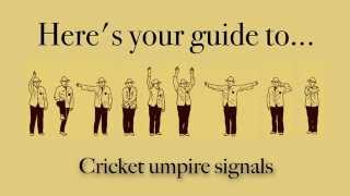 Cricket umpire signals explained