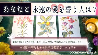 【結ばれ恋❤️最強の運命の人】あなたに永遠の愛を誓う人💓【運命✴︎覚悟】本格リーディング、忖度一切なし✴︎再アップ