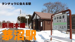 タンチョウに会える駅！JR釧網本線「茅沼駅」@北海道標茶町