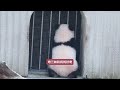 12月1日奇三妹和好奇妈妈隔门互动，三妹趁妈妈不注意爬小门 panda 판다 大熊猫 大熊猫奇三妹