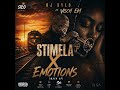 Stimela X Emotions Mashup by Dj Sylo Ft Visch EM