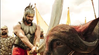 बली स्वीकार करो माहेश्मती | Bahubali Movie Best Action Scene | Prabhas | South Movie | Mr.Vivek