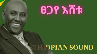 Tsegaye Eshetu  - Best of - ፀጋየ እሸቱ - mix | Ethiopian Music