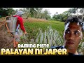 ANG DAMING PISTE PALAYAN NI JAPER SNIPER SA MINDANAO