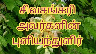 கதை#46:1)புளியந்துளிர் : சிவசங்கரி கதைகள்