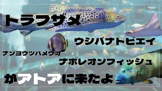 新たな生きものが仲間入り！生物搬入って大変です！