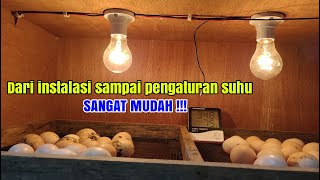 Cara Membuat MESIN TETAS Sendiri, Simple Murah dan Sederhana