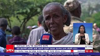 አሸባሪው ወያኔ በአላማጣ ከተማ ሰብዓዊና ቁሳዊ በደሎችን ይፈጽም እንደነበር ነዋሪዎች ተናገሩ፡፡