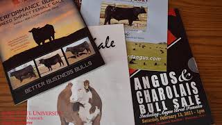 Bull Buying: Using Breed Index Information